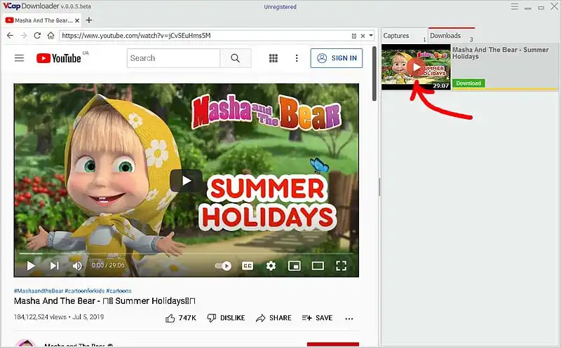 VCap Downloader (VCapDL) captures any videos.
